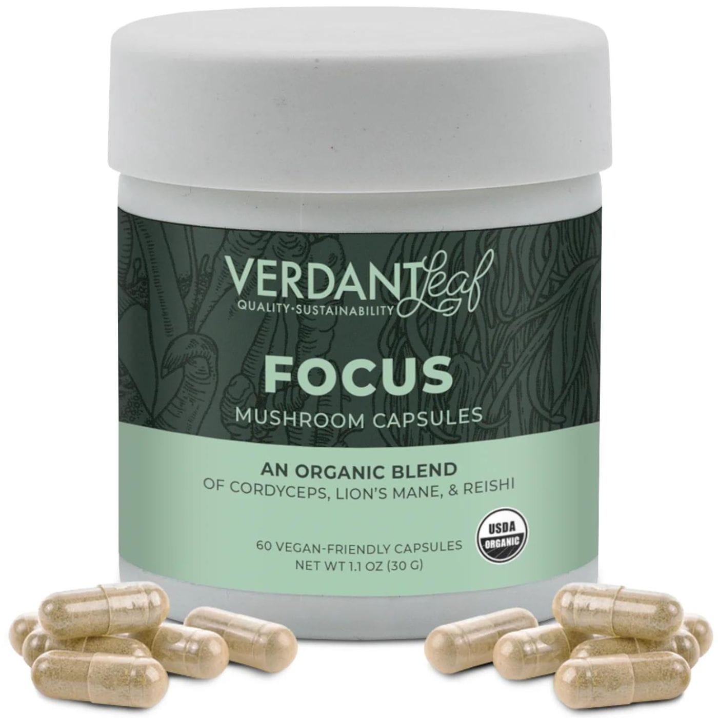 Focus Mushrooms Capsules