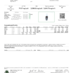 Test Results Page 1