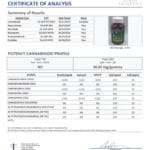 Lab Test Report - Page 1 for Wellness Mushroom CBD Gummies - Full Ingredient Breakdown