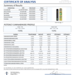 THC Vape Pen - Pineapple Express Lab Test