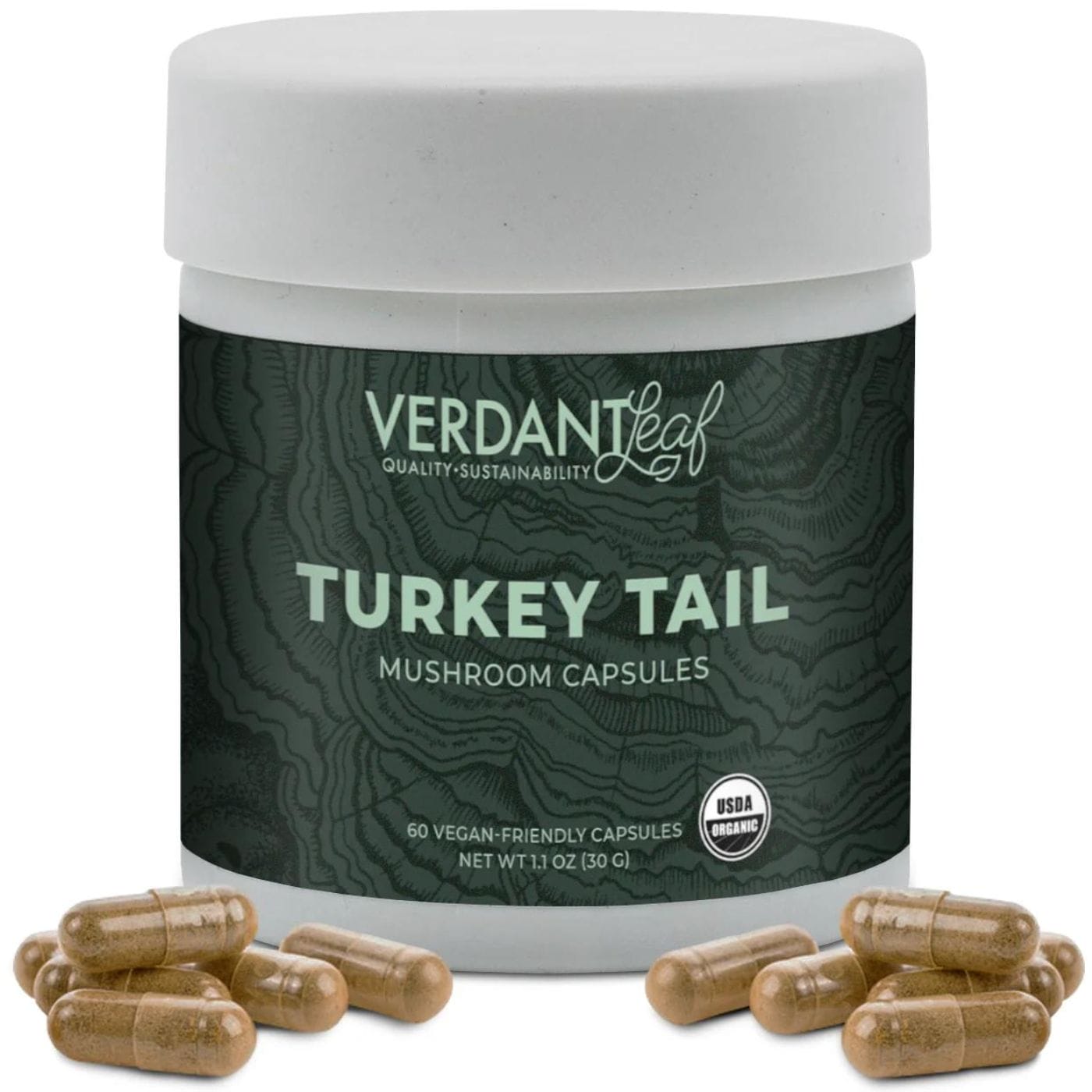 Turkey Tail Mushroom Capsules