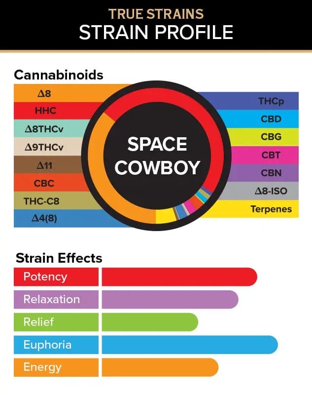Visual breakdown of True Strains Space Cowboy THC Vape showing the exact cannabinoid content, including THC, CBD, and minor cannabinoids