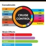 Visual breakdown of True Strains Cruise Control THC Vape showing the exact cannabinoid content, including THC, CBD, and minor cannabinoids