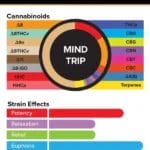 Visual breakdown of True Strains Mind Trip THC Vape showing the exact cannabinoid content, including THC, CBD, and minor cannabinoids