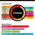 Visual breakdown of True Strains Phoenix THC Vape showing the exact cannabinoid content, including THC, CBD, and minor cannabinoids